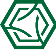 Toronet Logo