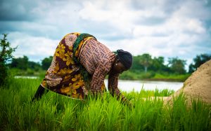 Woman farming in Nigeria